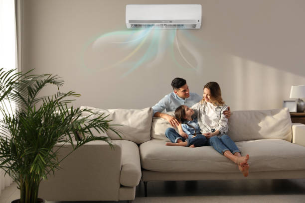 Best Energy-efficient HVAC Solutions in Newaygo, MI